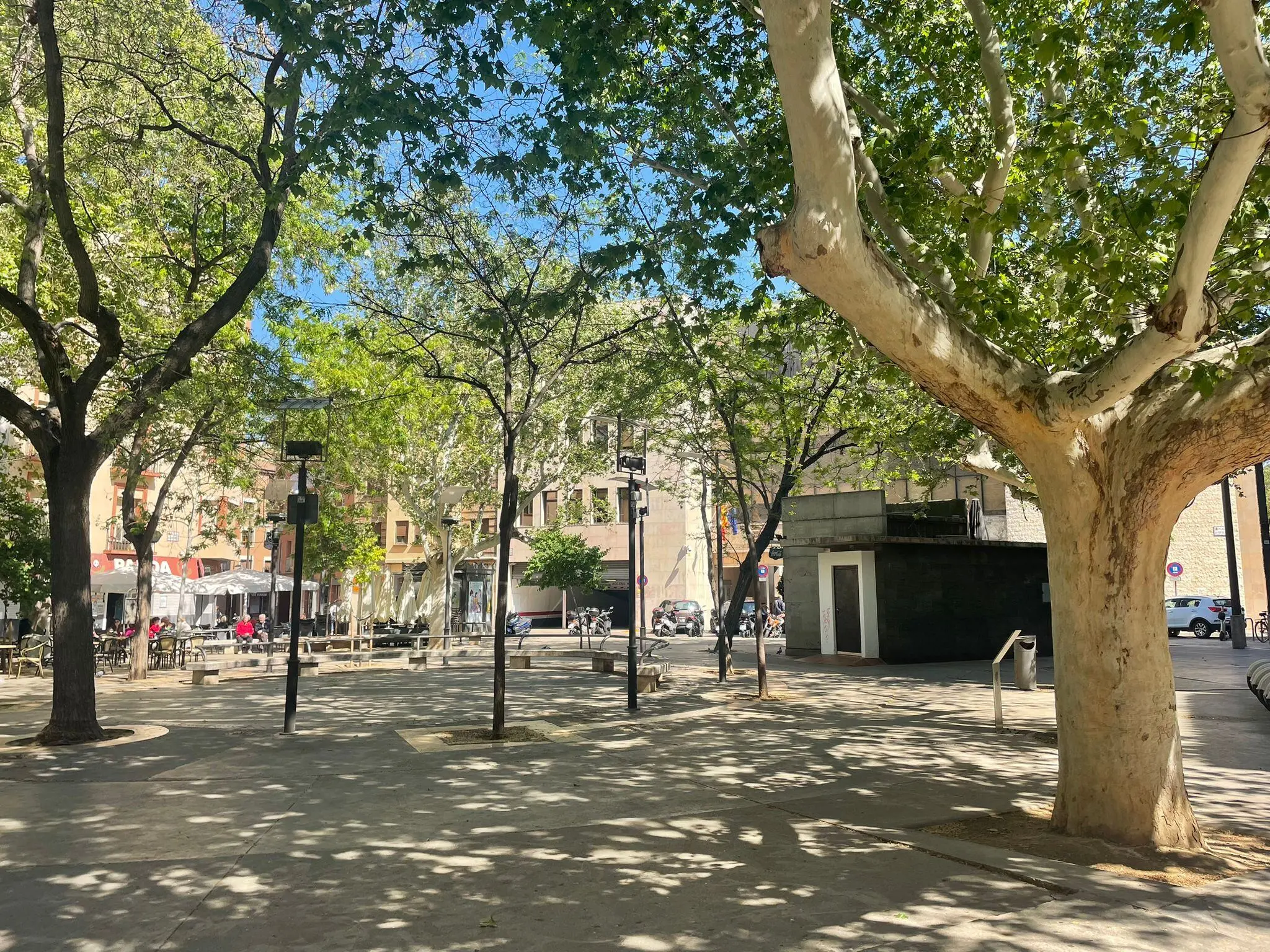 plaza pedro nolasco